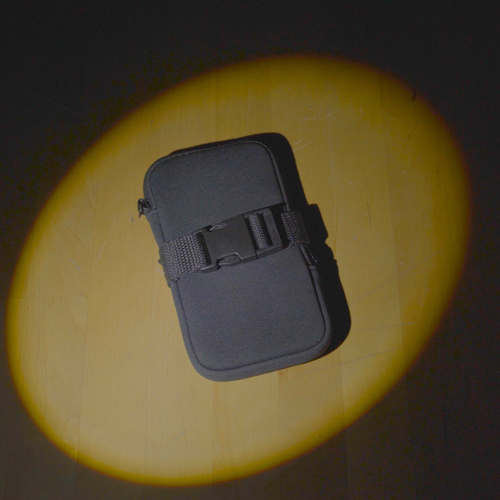 Lock In Phone Pouch